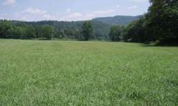 Endless possibilities...with this 1103 acre tract located in Putnam County, Tennessee (the hub of the Upper Cumberlands), that joins the headwater of the Calf Killer River with over 3500 ft of road frontage, springs, timber, plus hunting cabin. Wildlife