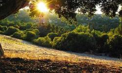 Beautiful parcel, approx. 1, 21 AC. with two mature oak trees on the opposite sides of the lot and appox.180 degree view of rolling hills, uniquely wrapped around by La Loma Dr. 5000 MFA, 7500 MDA (per City), exceptional Los Altos Schools.Listing