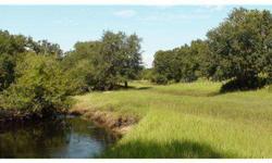 304 acres of Native Florida licensed hunting preserve. High-fenced exotic game preserve with native and exotic animals. 3/4 mile of natural and pristine Joshua Creek runs though the property. Drivable bridges provide year-round access to the entire