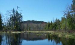 The Eagle Lake property is an opportunity to leave an inheritance to your childrens children. This parcel has excellent timber regeneration and should be a consideration for a long term timber holding. The abutting land owners have conservation in mind.