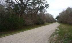 This beautiful lot is located just outside W.Columbia a small town about 50 minutes south of Houston. It is located on Willow Dr, in Colony De Bernard subdivision in Brazoria County. The size of lot is 8844 square feet or 0.203 acres. There are many