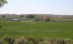 A good typical 200-250 cow ranch located on Gooseberry Creek with 400 +/- acres irrigated that has early water rights. Property is flood irrigated from Gooseberry Creek which runs through the main ranch. Middle Creek and Left Hand Creek run through the