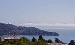 Stunning panoramic views of the San Francisco Skyline, Golden Gate Bridge, Belvedere Island and Mt.Tam from this 4 bedroom, 2 bath 70's style home. Incredible site with extraordinary views. Needs updating but very livable. Approved plans from design