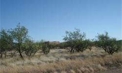 A REAL RARITY! TWO ADJACENT LOTS IN MESCAL. Beautiful, flat. Great Mesquites. Awesome views of the Rincons. Perfect for your new home - either site built or manufactured. Great for the investor - build here! Located in an area of new, mostly site built