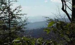 10 Acres - Year round West-Southwest views at 3500` elevation. Within FAIRVIEW FOREST a private secluded 700+ acre community which now neighbors The Cliffs at High Carolina. Mountain laurels, rhododendrons & native birds. Sub-dividing potential! Rare