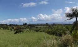 Seldom do you find small acreage in Hamakua, this beautiful property on a paved road is perfect for your new home and/or a small farm of speciality fruits and vegetables. Owner says building permit in place for a beautiful home with the potential of a