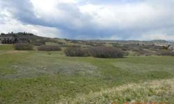 Beautiful 8.5 Acres Close to Town! Build Your Dream Home Here with Wonderful Front Range Mountain Views and Views of Castle Rock! Just 4 Minutes From the Grocery Store! Bring Your Builder or Use Ours! Backs to The Plum Creek Golf Course! Horses OK! Lot