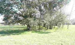 30 acres just outside city limits, south of town. Several large oaks, fenced, 1998 3 bedroom, 2 bath mobile home in good condition, old farm house with remodeling potential. Great for homesite!
Listing originally posted at http