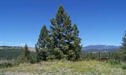 39 acres bordering San Juan National Forest with spectacular views just minutes from downtown Pagosa Springs. Bordering National Forest on 2 sides, amounting to over 2400 feet of running along the boundary of over 3 million acres of National Forest. Well