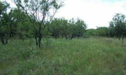 The property is approximately 55% wooded with live oak and mesquite trees and 45% in fields. There is one good pond on the property. Hill ridges provide excellent views of the property and beyond. Good county road frontage provides for easy access yet