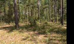 Approx. 145 beautiful acres in rural Sandy Run. Hardwoods, pines, springs, creek, possible pond site. Great building sites for home, would make a great hunting club - deer, turkeyListing originally posted at http