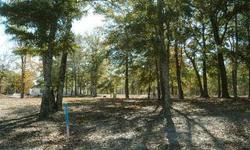 Beautiful homesite located in the Horseshoe Lake neighborhood of DeVaun Park. Front porch living awaits you here... from tree-lined streets to serene lakes and bridges with plenty of grassy parks and gazebos for a quiet, relaxing lifestyle. Build your