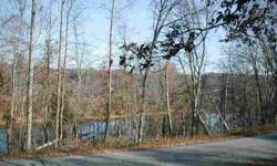 $30,000. Hurry and don't miss this rare opportunity to enjoy the best of the lake without lakefront prices. Large lot with outstanding lakeviews just across the road from Watts Bar Lake. Piney Point Resort with lake access is just down the street.