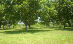1 ACRE mol LOCATED ON A PAVED ROAD minutes drive from I-10 just outside the city limits of Marianna. Country living but so close to all the city amenities. Property loaded with pecan trees. Deed restricted to no mobile homes allowed.
Listing originally