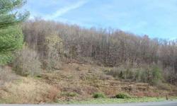 #2291 - Rose Hill, VA - THIS IS THE PERFECT TRACT OF LAND for your new home on this 10 acres that it is unrestricted, 2 springs, creek and road frontage, city water available; what more could you ask for and less than 5 minutes to Hwy 58; $30,000; call