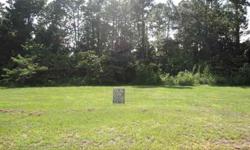 LOT IN THE WOODS LISTED $5750 UNDER SCAD VALUE!! Very nice lot in a very nice subdivision. Lot is approx .475 acres, level and ready to build on with nice Pine & Oak trees along the back of the lot for privacy. Chapel Hill ISD. Survey available. BRING US