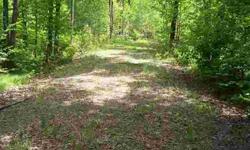 1.99 acre wooded lot with 228 feet of frontage on the east fork of the Chippewa River across from the Chequamegon National Forest with access by canoe or kayak to the Chippewa Flowage. Buried electric on site and driveway and building site are all ready