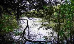 Beautiful 1.9 acre wooded lot with 232 feet of frontage on the east fork of the Chippewa River across from the Chequamegon National Forest with access by canoe or kayak to the Chippewa Flowage. Buried electric on site and located on a quiet private