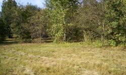 This private property is located 5 miles east of Hawkinsville just off HWY 341. Nice hardwoods/pine mix, open areas with wild Blueberry bushes scattered about. Electric and phone lines to property DSL internet available. Few protective covenants