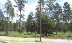 Great home sites in new Turkey Ridge Subdivision. Lots ranging from 1-5 Acres. Paved roads, beautiful rolling land, great mixture of trees. Large retention pond, some lots with water frontage. Nice country setting close to the town of Lake Butler, minutes