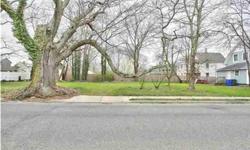 Double Lot (2) 60x100 lots build another house or garage! Welcome to Historic Downtown Toms River where you will find this charming colonial with a front porch situated on a well manicured corner lot of a tree lined street. The exterior of the home has