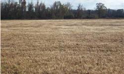 3-Acre single family residential home site in rural community of Goodway, Al. Restrictive Covenants for home owner's protection. Level, cleared, public water access and ready for new home construction. Property is also fenced. Take a look at this today.