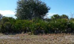Beautiful lot to build your dream home or invest in your FUTURE, Close to Beaches ,Golfing,Boating and Shopping.Property is located in a Scrub Jay review area.