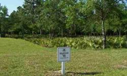 Beautiful preserve lot in pretigious Highfield community of Lakewood Ranch Country Club. Build your dream home on this almost 3/4 acre wooded lot. One of the few remaining southern exposure preserve lots in Country Club Village.