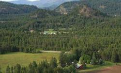 Heaven on earth! View of jumpoff joe mt, gorgeous summer days, pastures, timber, pond, and a wildlife paradise. Jim Palmer Jr. has this 3 bedrooms / 2 bathroom property available at 3466 Highway 395 South in Loon Lake for $325000.00. Please call (509)