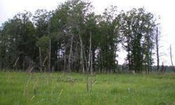 Excellent building lot close to Bemidji. Wooded 7.9+ acres some low. Wildlife galore, Price includes culber and driveway - Owner AgentListing originally posted at http