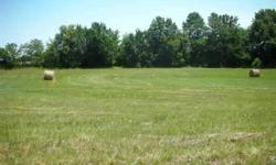 "Convenient Country Living" with easy access to US Hwy 50, Warrensburg, Centerview. Excellent building lot.
Listing originally posted at http