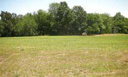 "Convenient Country Living" with easy access to US Hwy 50, Warrensburg, Centerview. Excellent building lot.
Listing originally posted at http