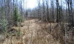9.22 Acres adjacent to public land. Great hunting land and building site with an east view of Gull Lake.Listing originally posted at http