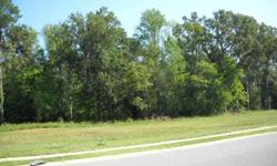 All the benefits of in-town living, but with a country feel. Tree Shade is an upscale neighborhood with large, beautiful homesites. No through streets. Cul-de-sacs are great for walking and riding bikes. Lot financing available through First South