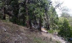 Make this your piece of paradise, by building your dream wilderness retreat. Located in the Arrowhead Woods (lake rights) and tucked back in your own private forest with a seasonal creek to the south. This is the perfect buildable lot for those desiring