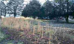 GREAT LOT WITH LOTS OF POTENTIAL WITH IN WALKING DISTANCE OF THE RIVER AND CHEATHAM DAM- PERFECT LOCATION FOR HUNTING OR FISHING- EASY ACCESS TO ASHLAND CITY, CLARKSVILLE, DICKSON, AND NASHVILLE- MOBILE HOME ON PROPERTY NEEDS WORK-Listing originally