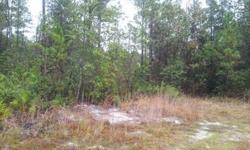 Nice and private wooded lot at the end of the road. County has designated some of the property as swamp so buyer should conduct feasability studies to ascertain where a house or mobile can be placed.Listing originally posted at http