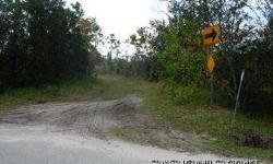Approx 33 acres of cleared vacant land adjacent to the florida east coast railroad on the west side. Listing originally posted at http