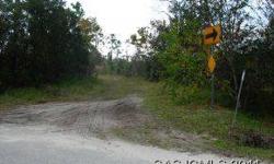 Approx 33 acres of cleared vacant land adjacent to the florida east coast railroad on the west side. Listing originally posted at http