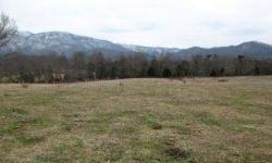 Wonderful Mountain Views! There are approximately 21 acres in woodland and 30 acres in pasture. There are three ponds, a barn and the entire property is fenced. Ready for your horses or cattle. Also with the rolling hills, the property would be ideal for