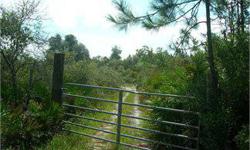 135 + acres in Rosewood 10 minutes to Cedar Key. The property consists of mixture of high and dry with scattered ponds, hardwoods, pine and oaks. Surrounded by 1,000 of acres of timberland and state lands. Perfect for hunting, ranch, or home, (mobile