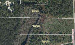 Short Sale 42 acres in desirable Sunnyside overlooking Lake Harris. NEW PRICE !! $8,000 per acre