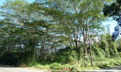 Corner one acre lot on Makuu and 27th Av in Hawaiian Paradise Park. (Makai/Pahoa side). These don't come up very often for sale! Good location near the top of the subdivision.