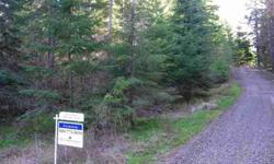 BIG PRICE REDUCTION--was $46,000. This is a beautiful wooded parcel with a mix of evergreens and some deciduous trees and some clearings. Property backs to thousands of acres of timber company and DNR land. The ultimate property for recreational use or