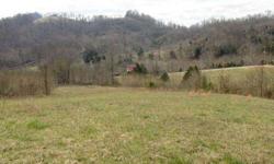 Ask about "Bailey's Hollow Tract 33 or 34" (I also have tract 34 available that has an additional 5 acres- 5% down would be needed to purchase both properties) This is a 5.2 acre owner financed tract nestled in a valley with a good bit of open area. The