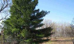 Kalkaska 20 wooded acres with state land on 3 sides. Frontage on two roads, small valley.
Listing originally posted at http