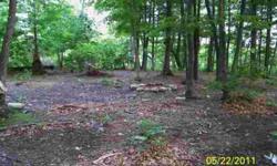 Welcome to Beautiful West Virginia! Build your permanent home or use for recreation. Property fronts two roads, Campbell Road and Gall Lane. Short distance to public access to the South Branch of the Potomac River. Scenic mountain views. Property has