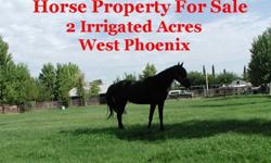 Arizona Horse Property for sale $340,000 2 acres Phoenix Glendale Horse Ranch Arizona Irrigated 1794 sq. ft.http