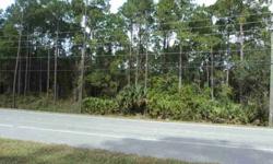 31 +- acres Beautiful property in Palm Coast Florida Great road frontage Zoned for mix-use and C-2/wetland overlay...Listing originally posted at http