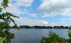 Bring your builder plans, waterfront lot on the Bayou in Tarpon. Almost at the mouth of the Gulf of Mexico. Enjoy the dolphin and manatee.. Boaters paradise!
